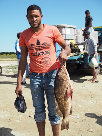 A fisherman wearing a red Adidas t-shirt holds a large fish. 