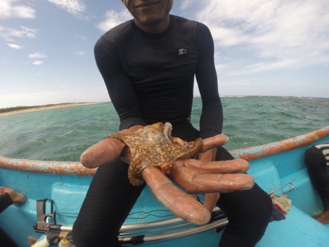 Seated on the edge of a small boat with the ocean behind him, a fisherman holds a small octopus in his hand.