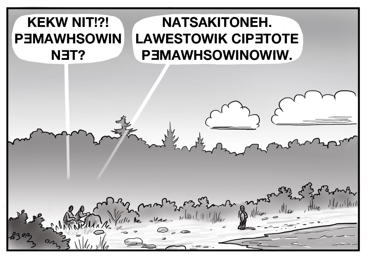 All images are panels for a comic in black and white. This image depicts a shore with bushes and greenery. One person is walking along the shore, two are crouched behind a rock, as one of the crouched figures says “KEKW NIT!?! PƎMAWHSOWIN NƎT?” and the other replies with “NATSAKITONEH. LAWESTOWIK CIPƎTOTE PƎMAWHSOWINOWIW.” 