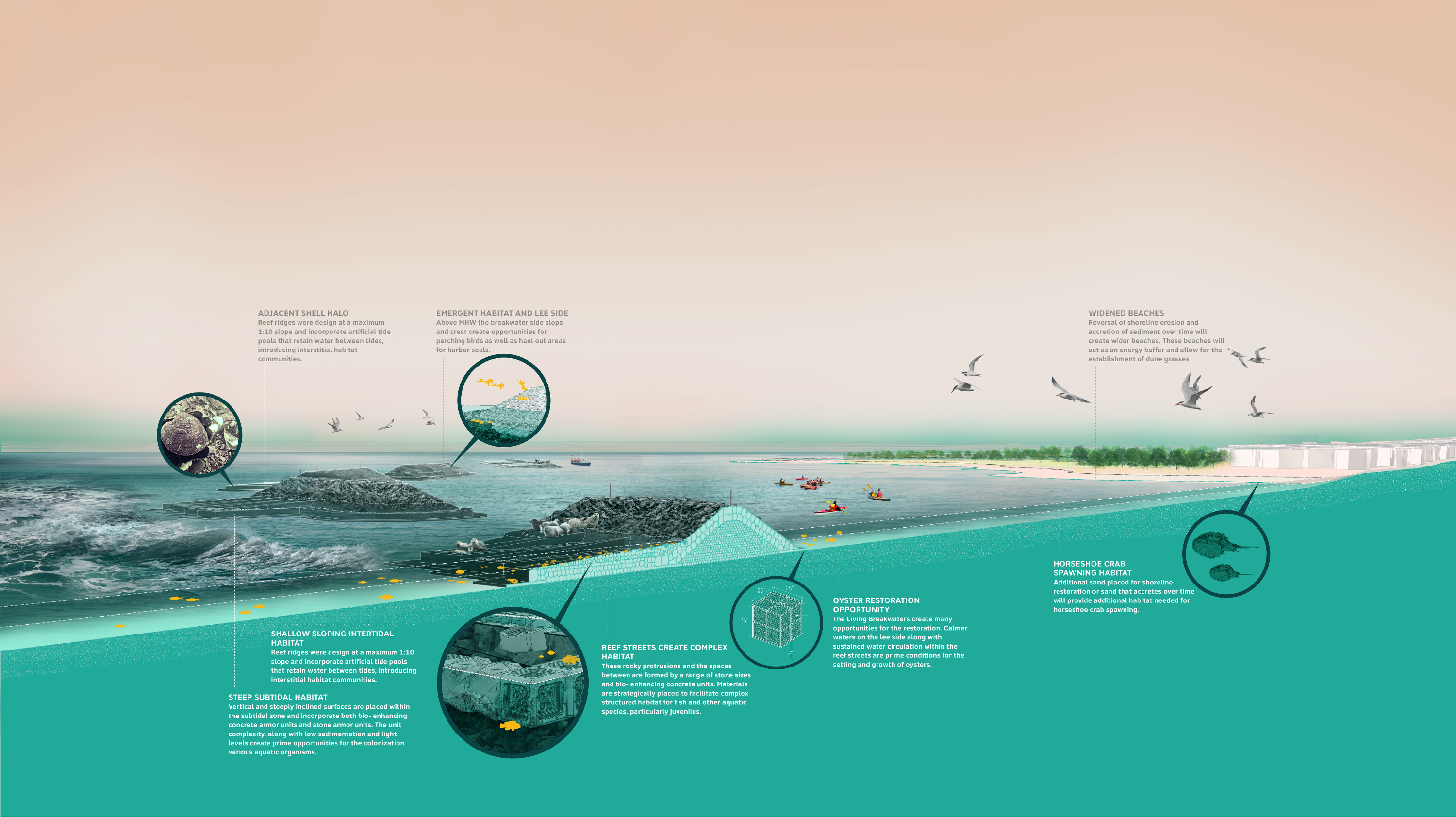 A schematic that illustrates, describes, and explains the different components of the Living Breakwaters.