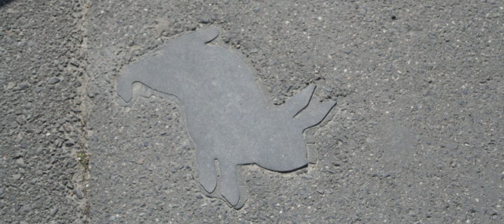 A photograph of a paved walkway with the shape of a rabbit set in the middle, smoother than the surrounding ground.