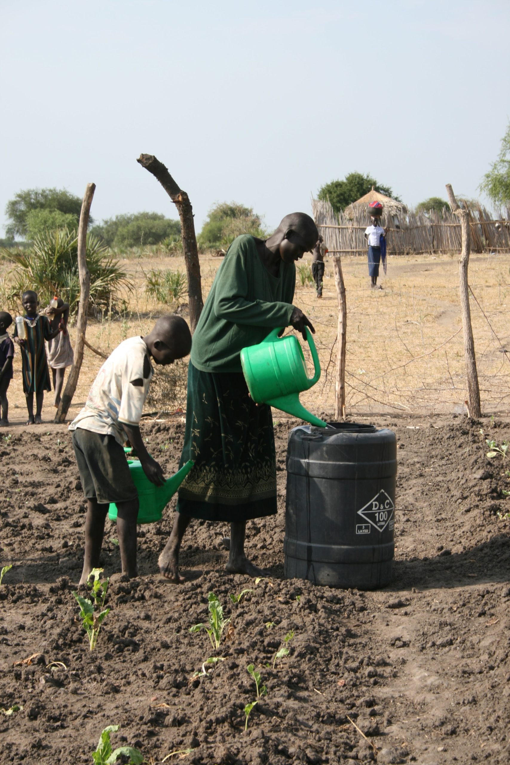 A woman and a boy use green plastic watering cans to water shoots in one of the project’s gardens.