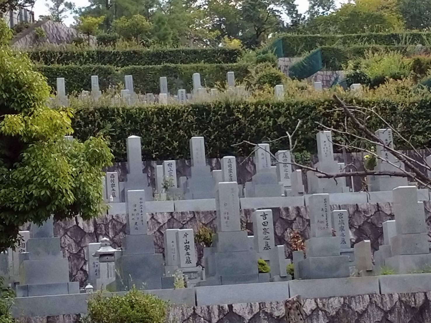 Photograph of a cemetery.