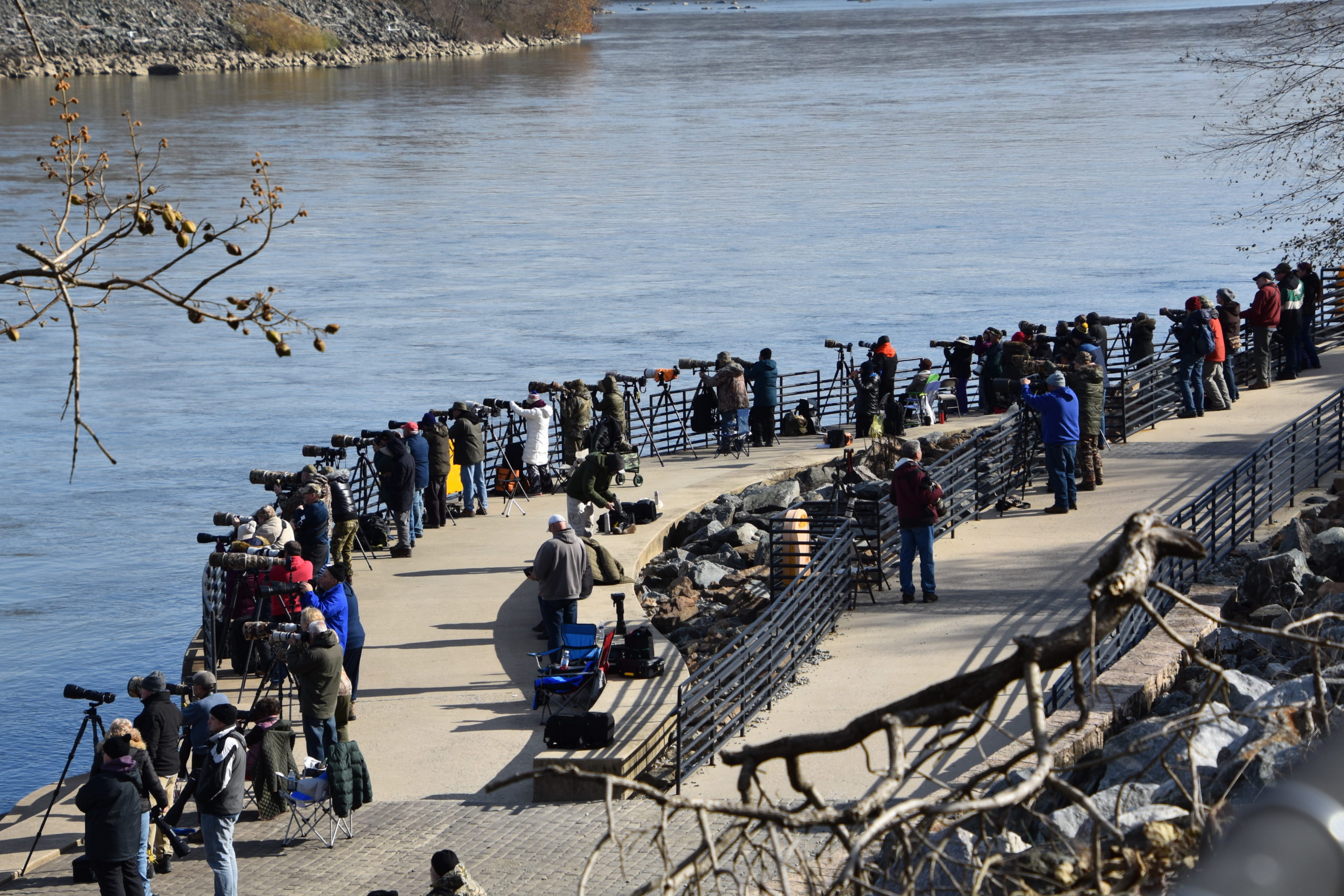 Photograph of a relatively large group of bald eagle watchers at Conowingo Dam on the Susquehanna River in Maryland. 