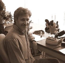 Photograph in sepia tones of a person sitting at a desk.