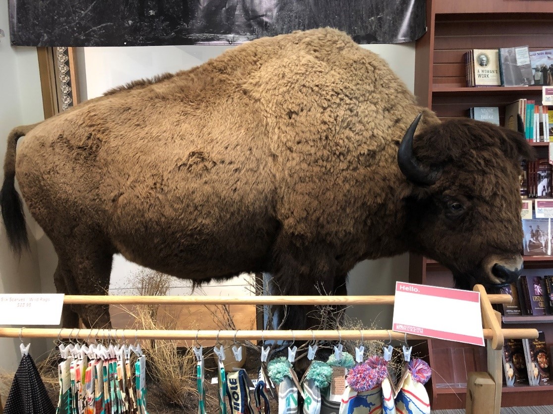 Photograph of a stuffed bison